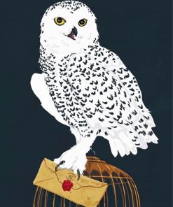 Harry Potter Hedwig paint by numbers