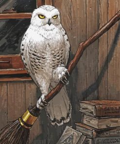 Hedwig Owl paint by numbers