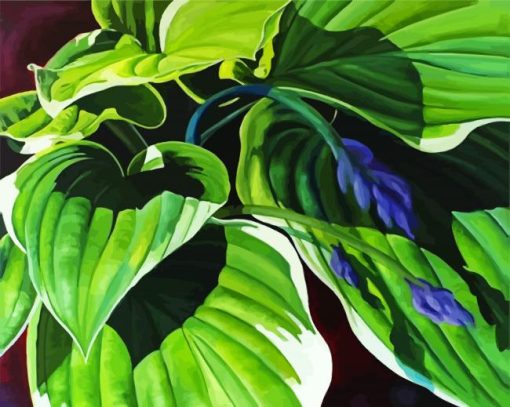 Hosta Art paint by numbers