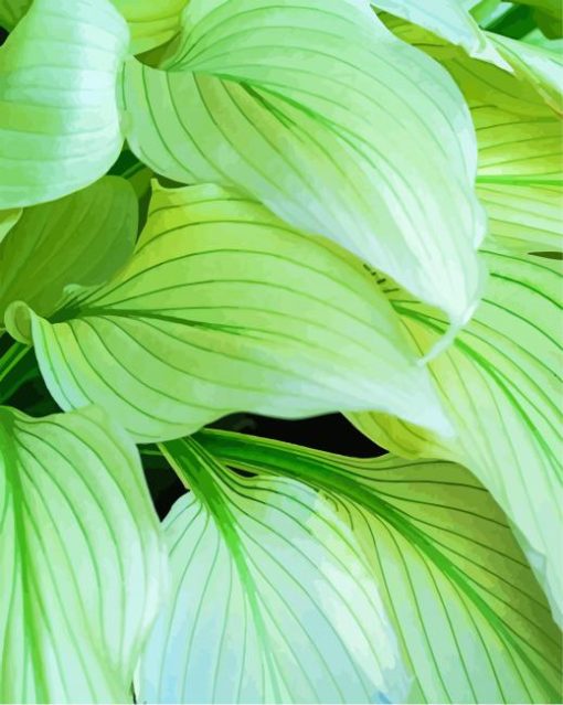 Hosta Leaves paint by numbers