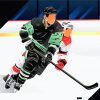 Illustration Ice Hockey Players paint by numbers