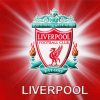 Liverpool FC Logo paint by numbers