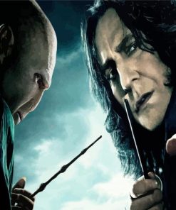 Lord Voldemort And Professor Severus paint by numbers