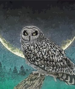 Moonlight Owl paint by numbers