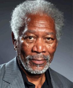 Morgan Freeman paint by numbers