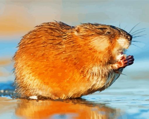 Muskrat paint by numbers