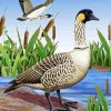 Nene Bird paint by numbers