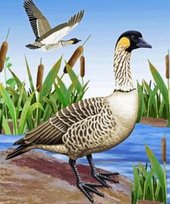 Nene Bird paint by numbers