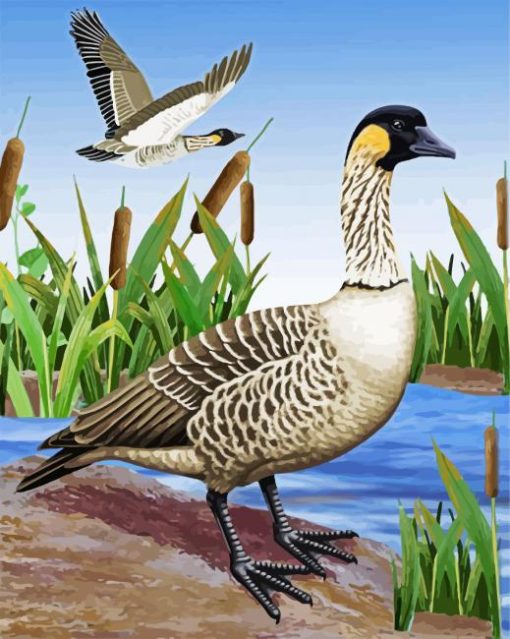 Nene Bird paint by numbers