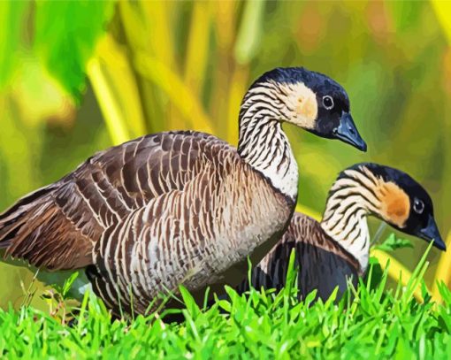 Nene Geese paint by numbers