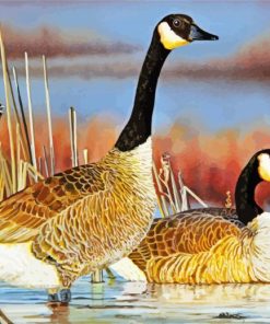 Nene Hawaiian Geese paint by numbers