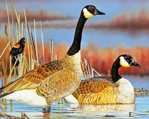 Nene Hawaiian Geese paint by numbers