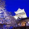 Odawara Castle Cherry Blossom paint by numbers