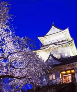 Odawara Castle Cherry Blossom paint by numbers