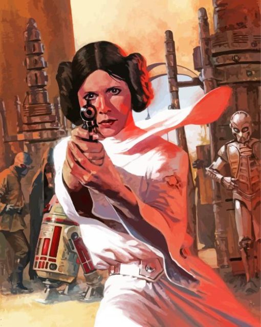 Princess Leia Star Wars paint by numbers