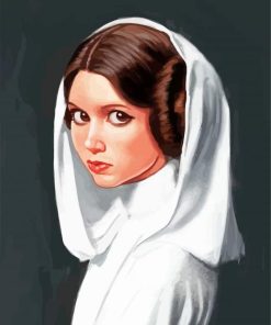 Princess Leia paint by numbers