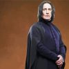 Professor Severus Snape paint by numbers