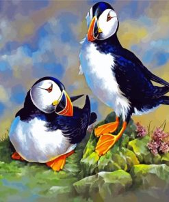 Puffin Birds paint by numbers