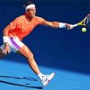 Rafael Nadal paint by numbers