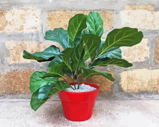 Red Plant Pot Fiddle Leaf Fig paint by numbers