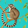 Ring Tailed Lemur on Branch paint by numbers