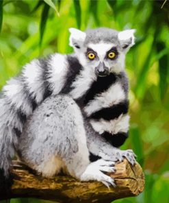 Ring Tailed Lemur Primate paint by numbers