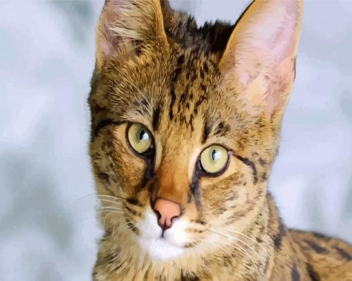 Savannah Cat Face paint by numbers