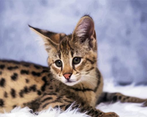 Savannah Cat paint by numbers