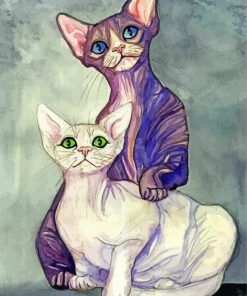 Sphynx Cats Art paint by numbers