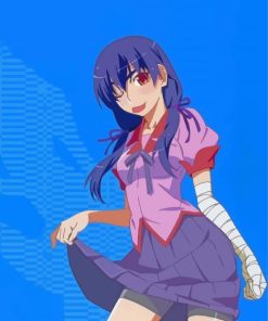 Suruga Kanbaru Monogatari paint by numbers