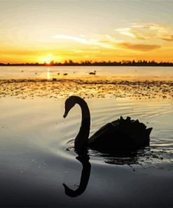 Swan Bird Silhouette paint by numbers