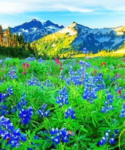 Wildflowers Meadow paint by numbers