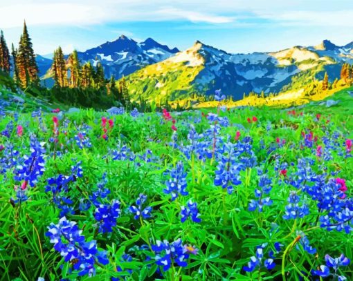 Wildflowers Meadow paint by numbers