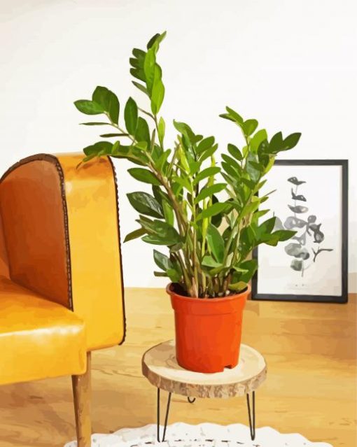 Zamioculcas Plant Pot paint by numbers