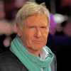 Actor Harrison Ford paint by numbers