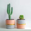 Aesthetic Cactus Pots paint by numbers