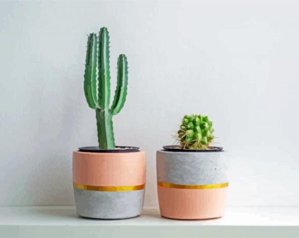 Aesthetic Cactus Pots paint by numbers