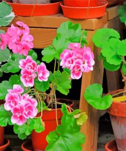 Aesthetic Geraniums paint by numbers