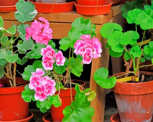 Aesthetic Geraniums paint by numbers