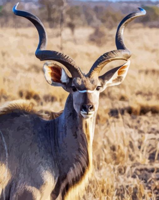 Aesthetic Kudu paint by numbers