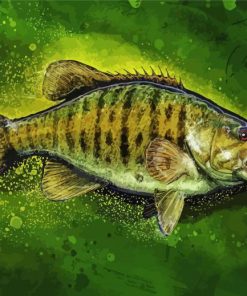 Aesthetic Smallmouth paint by numbers