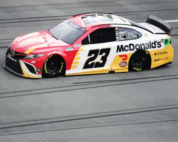 Aesthetic Nascar Vehicle paint by numbers