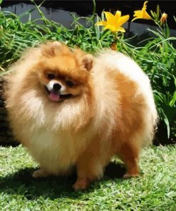 Aesthetic Pomeranian paint by numbers