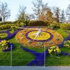 Aesthetic The Flower Clock Geneva paint by numbers