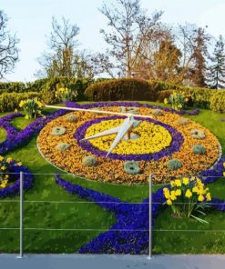 Aesthetic The Flower Clock Geneva paint by numbers