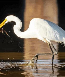 Aesthetic White Egret paint by numbers