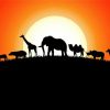 Animals Silhouette Illustration paint by numbers