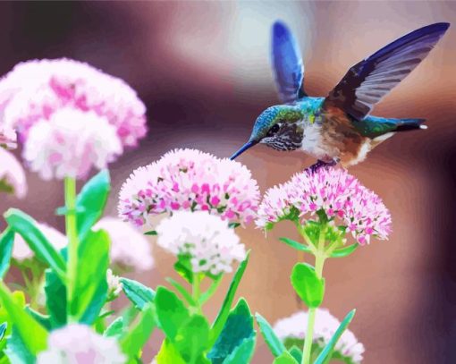 Beautiful Blue Hummingbird paint by numbers