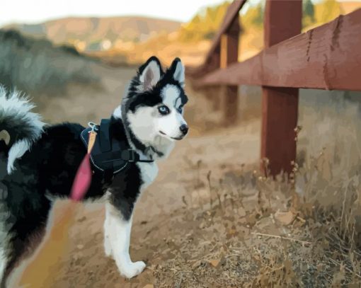 Black and White Pomsky paint by numbers