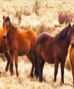 Brumbies Brown Flock paint by numbers